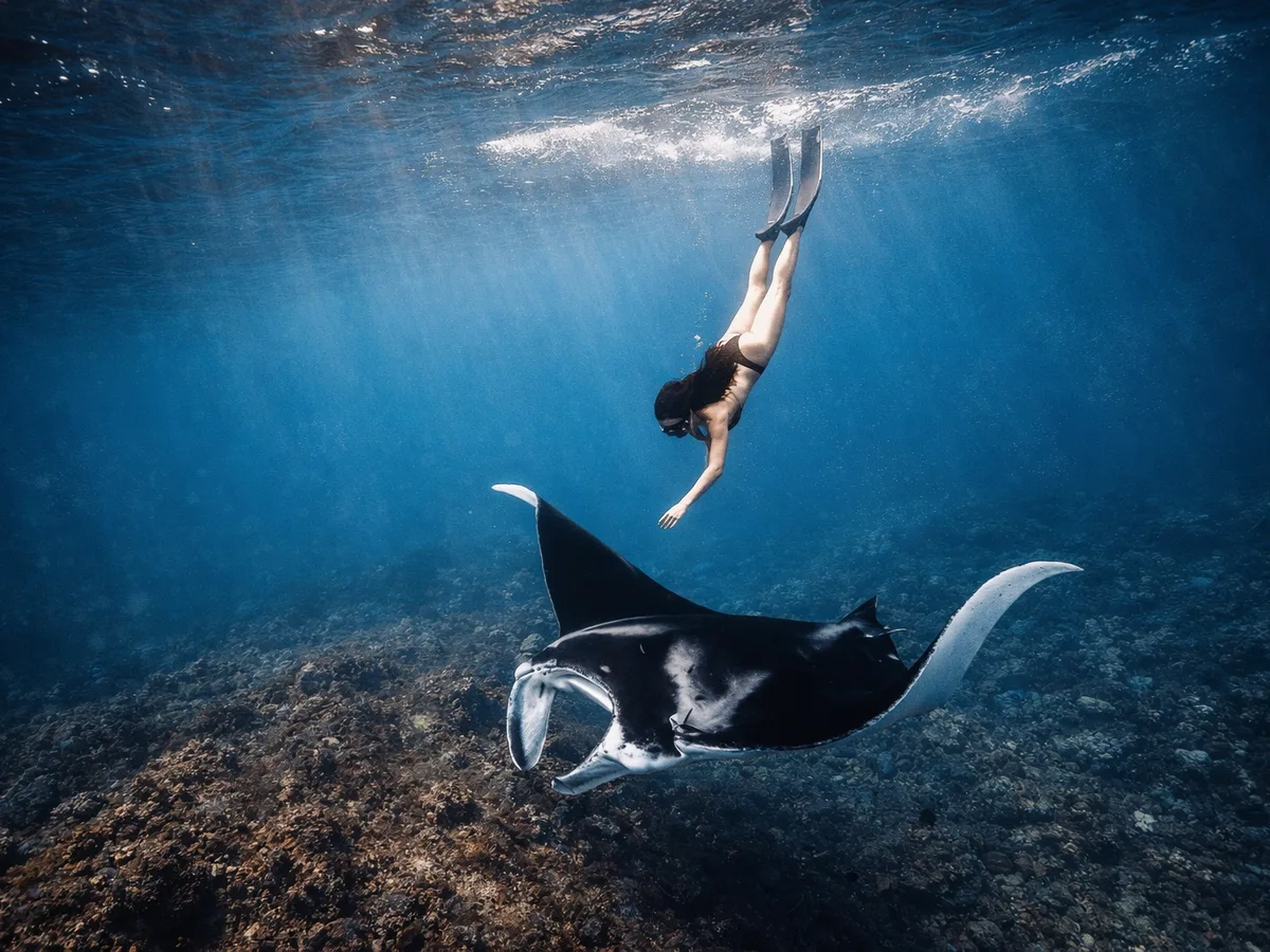 Snorkeling Manta Bay gallery image 2